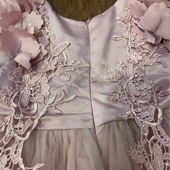 Trish Scully Bianca Gown in Rose, Size 4, Lace, Tulle , Formal, Floor Length - Picture 10 of 11